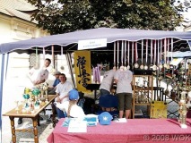 dniwolowa_015