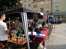 dniwolowa_016