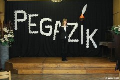 wokfoto_pegazik_015
