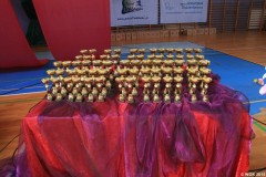 foto_wok02