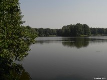 foto_015