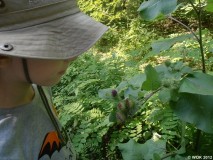 foto_019