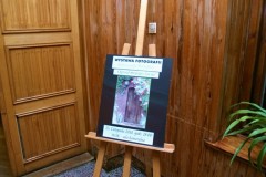 Wystawa Fotografii "Ogród Mojego Życia" - 25.11.2010r.