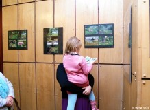 wokfoto_01