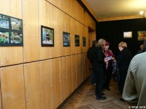 wokfoto_015