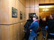 wokfoto_04