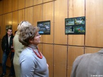 wokfoto_05