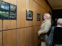 wokfoto_06